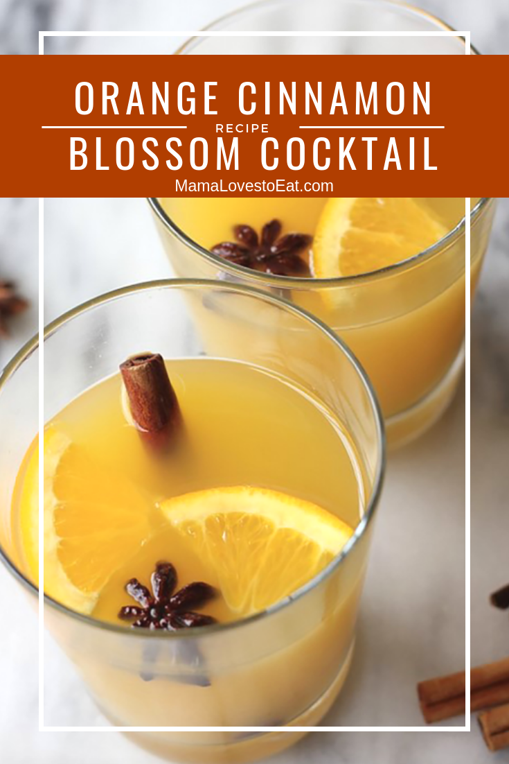 Looking for a Fall cocktail that will be a hit? This cinnamon drink has just the right flavor of cinnamon and makes the perfect orange cocktail.