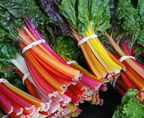 The healthiest vegetables ranked - from least impressive to true nutrient powerhouses