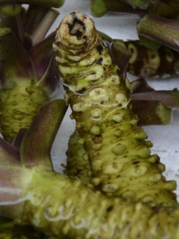 Why You Can't Find Authentic Wasabi in the US (and What You're Eating Instead)