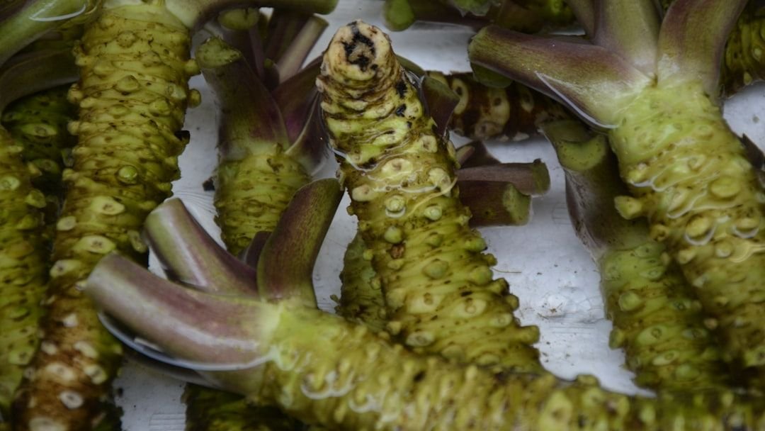 Why You Can't Find Authentic Wasabi in the US (and What You're Eating Instead)