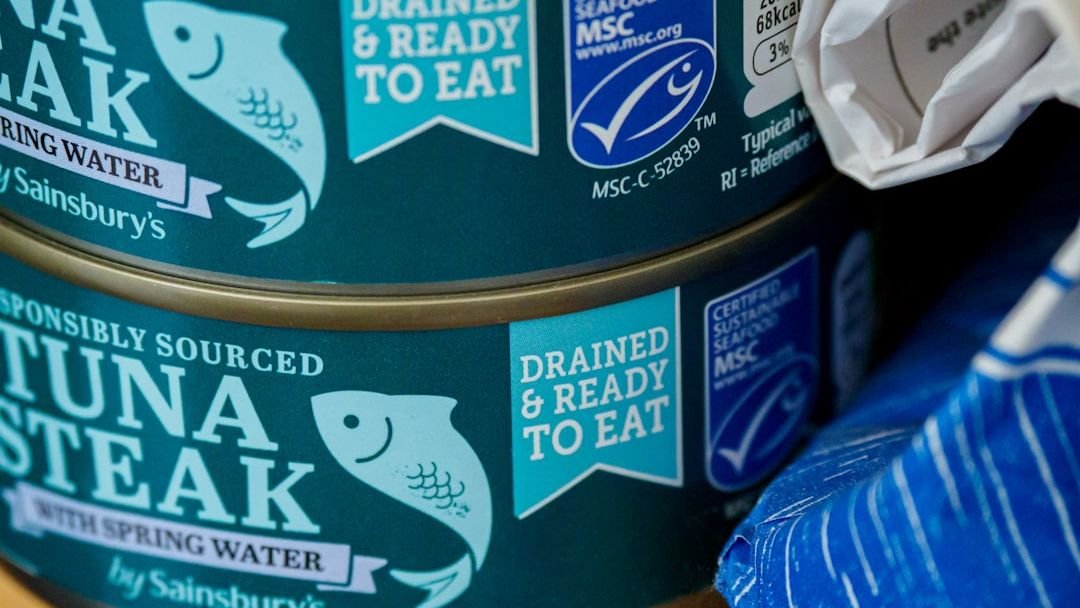 Is Eating Canned Tuna Every Day Healthy? Dietitians Break It Down