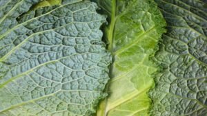 The 7 Most Dangerous Foods to Eat Undercooked - Ranked by Risk