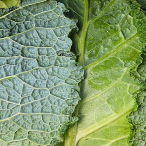 The 7 Most Dangerous Foods to Eat Undercooked - Ranked by Risk