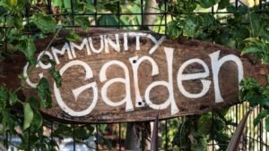 Who Really Owns the Herb Garden? 5 Community Plot Myths Explained