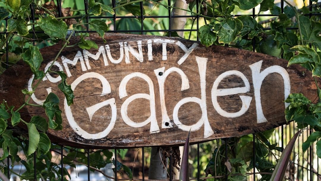 Who Really Owns the Herb Garden? 5 Community Plot Myths Explained