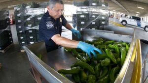 11 Things Health Inspectors Aren't Allowed to Reveal, Former Inspectors Say