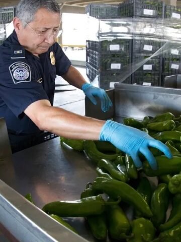 11 Things Health Inspectors Aren't Allowed to Reveal, Former Inspectors Say