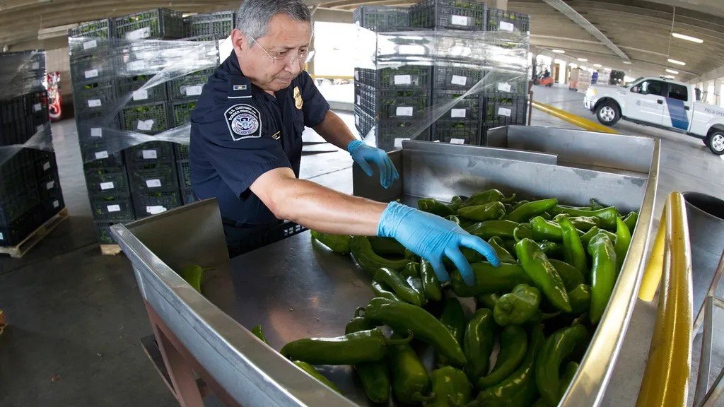 11 Things Health Inspectors Aren't Allowed to Reveal, Former Inspectors Say