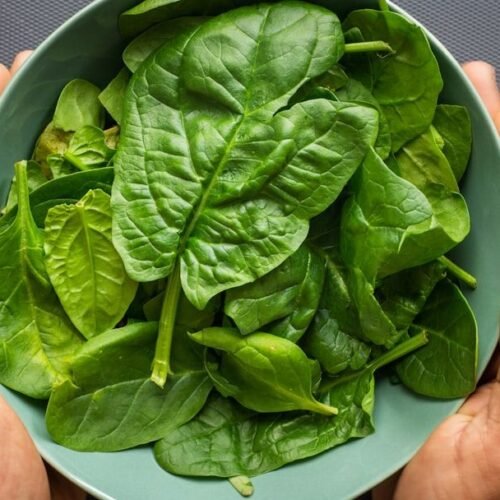 Spinach vs. Kale: Which Has More Iron, Calcium, Antioxidants?