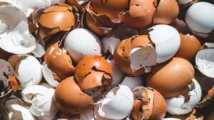 11 Food Scraps Legal Experts Say Should Never Go in Household Trash