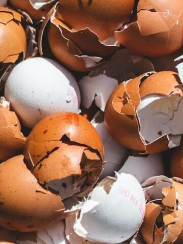 11 Food Scraps Legal Experts Say Should Never Go in Household Trash