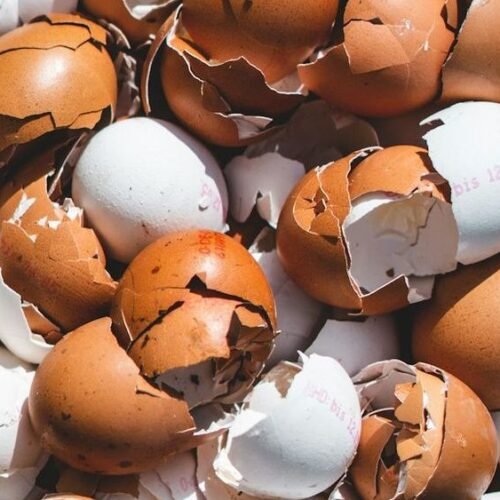 11 Food Scraps Legal Experts Say Should Never Go in Household Trash