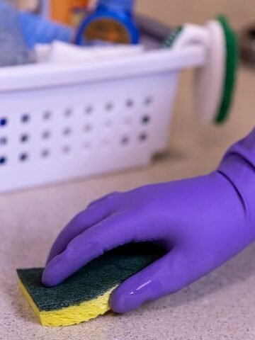 A Microbiologist Explains: The One Item in Your Kitchen Dirtier Than a Toilet