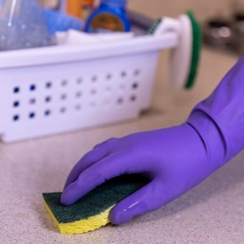 A Microbiologist Explains: The One Item in Your Kitchen Dirtier Than a Toilet