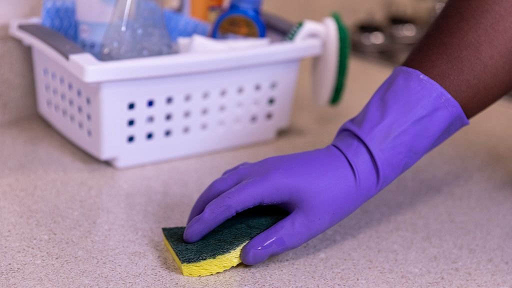 A Microbiologist Explains: The One Item in Your Kitchen Dirtier Than a Toilet