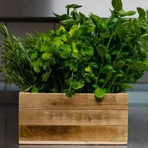 9 Simple Secret Ingredients Grandmothers Used That Make a Dish Memorable for a Lifetime