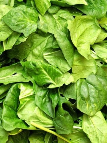 Top 8 Foods That Support Hair Growth and Shine