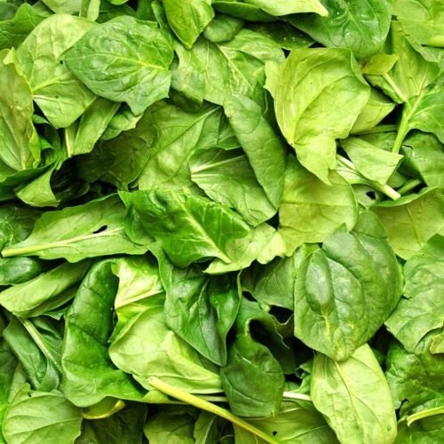 Top 8 Foods That Support Hair Growth and Shine