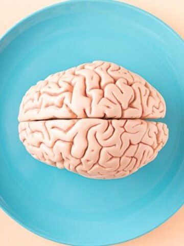Top 10 Brain-Boosting Foods Ranked