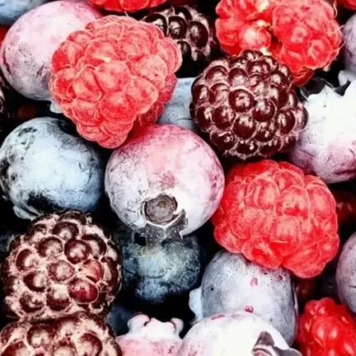 Top 10 Foods That Could Help Protect the Brain from Alzheimer's