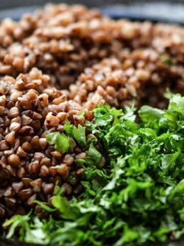 The Dark Side of Plant-Based Diets: Why It May Not Be the Perfect Solution