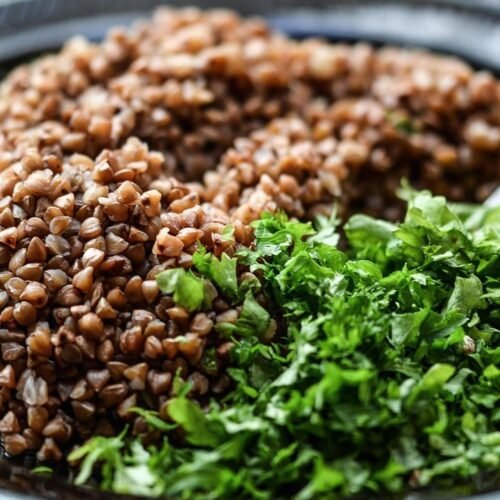 The Dark Side of Plant-Based Diets: Why It May Not Be the Perfect Solution