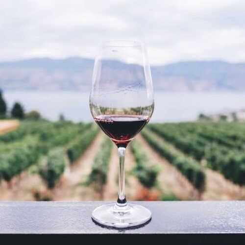 5 Wine Label Terms That Signal the Bottle is Way Overpriced