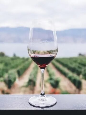 5 Wine Label Terms That Signal the Bottle is Way Overpriced