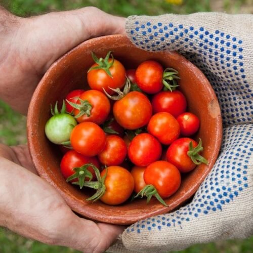 I Switched to Organic Eating and Regretted It – Here Are 8 Reasons Why