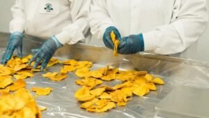 Food Industry Experts Reveal What Massive Factory Expansions Could Mean For Your Groceries