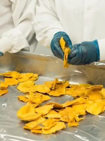 Food Industry Experts Reveal What Massive Factory Expansions Could Mean For Your Groceries