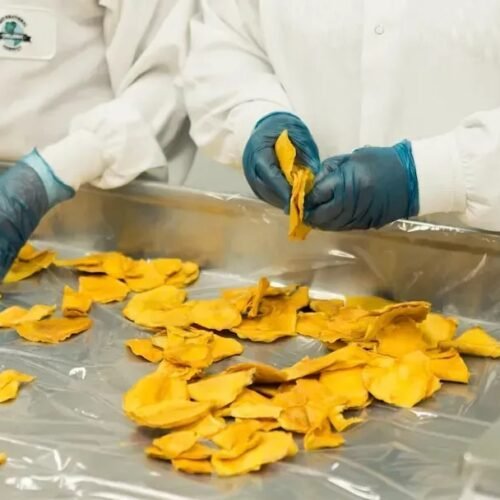 Food Industry Experts Reveal What Massive Factory Expansions Could Mean For Your Groceries