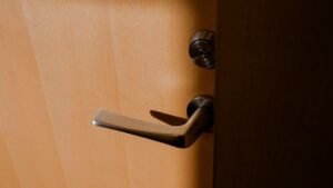 Wash Your Hands Immediately After Handling These 11 Items